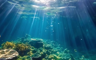 海底短视频剪辑素材 海景大海高清横屏素材分享#好文分享