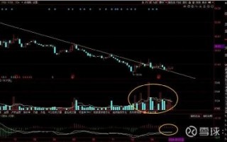 网一科技股，网科技股票