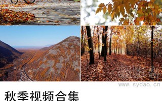 秋天的短视频剪辑 年入千万，西瓜视频创作人“秋天妈妈要努力”是怎么做到的